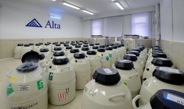 Alta. альта дженетикс. альта генетик раша. альта дженетикс раша. альта дженетикс раша воспроизводство.